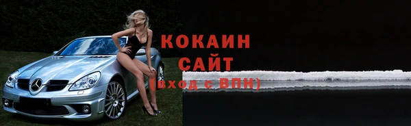 дмт Богданович