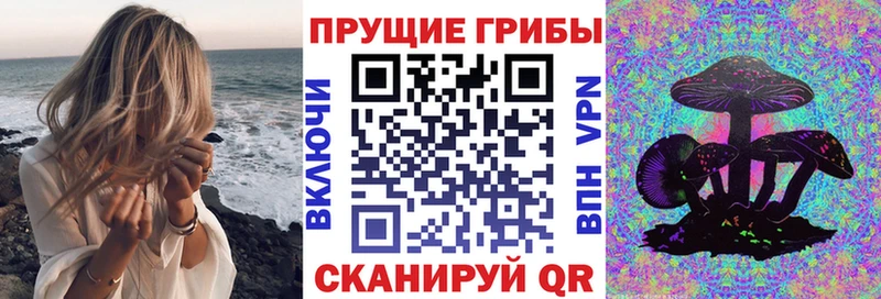 Галлюциногенные грибы прущие грибы  цены   Выкса 